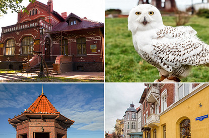 Куда сходить в Зеленоградске: 14 лучших мест курорта в Калининградской области