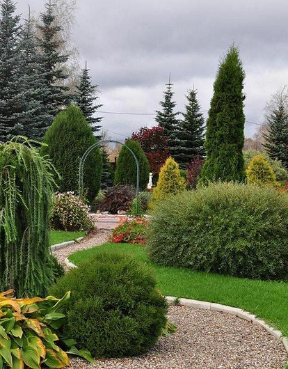 Кустарники в ландшафтном дизайне: советы по выбору и посадке