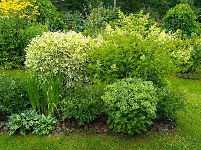 @vegetablegarden101
