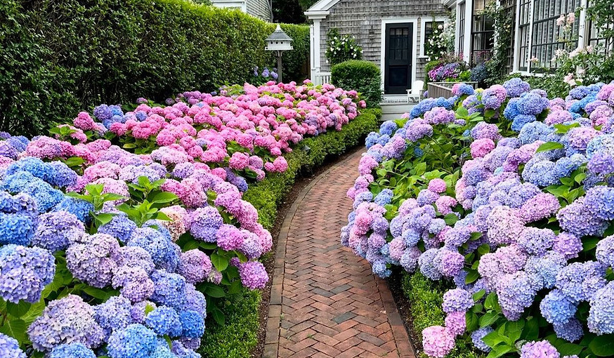 @Artfulnudger
