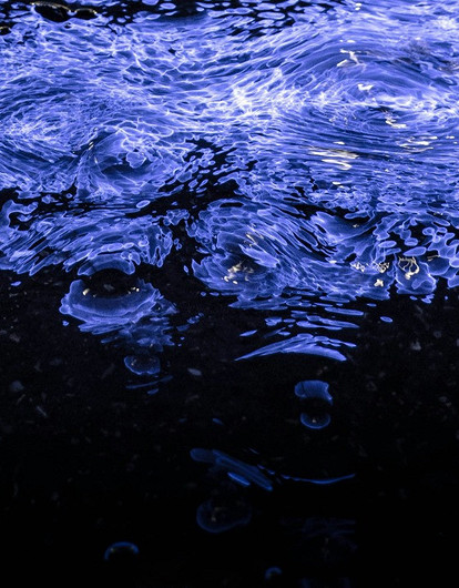 Водные знаки зодиака: сильные и слабые стороны Раков, Скорпионов и Рыб