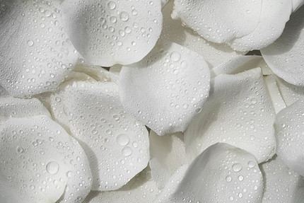 Как пользоваться пэдами для лица: пошаговая инструкция