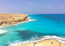@youhananassif