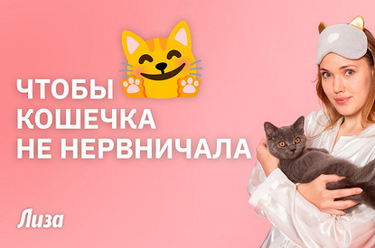 Если кошка царапается, боится гостей, стрессует — что делать: советы зоопсихолога