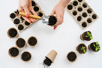 Как замачивать семена перед посадкой: 20 проверенных способов