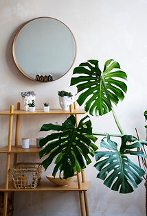 Дизайн ванной комнаты: главные тренды 2026