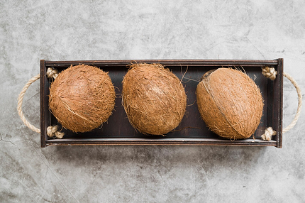 Чем можно кормить птиц и как сделать кормушку своими руками