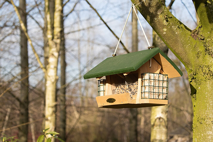 Чем можно кормить птиц и как сделать кормушку своими руками