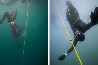 Где в России заниматься фридайвингом: 5 лучших мест