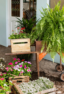 Как обустроить сад и огород красиво: 14 лучших идей