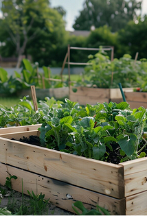 Как обустроить сад и огород красиво: 14 лучших идей