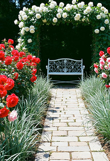 Как обустроить сад и огород красиво: 14 лучших идей