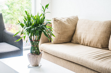 Как обновить интерьер к весне: 14 простых шагов