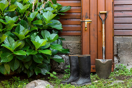 Как обустроить сад и огород красиво: 14 лучших идей