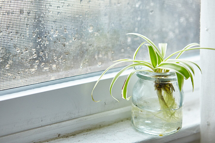 Как избавиться от влажности в квартире: 12 эффективных способов