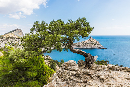 Куда поехать отдохнуть в Крыму: топ-12 лучших мест