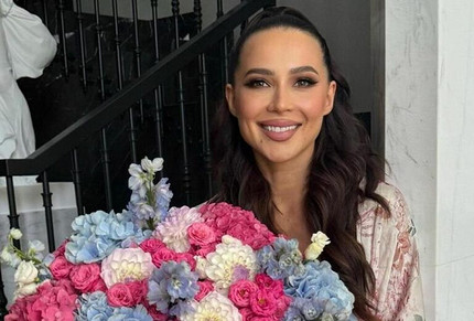 Неизвестный погасил многомиллионный долг Лерчек перед налоговой