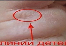 Небольшие вертикальные ответвления от линии брака могут указывать на количество наследников. 