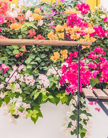 Какие цветы посадить на балконе: 15 видов, которые будут радовать все лето