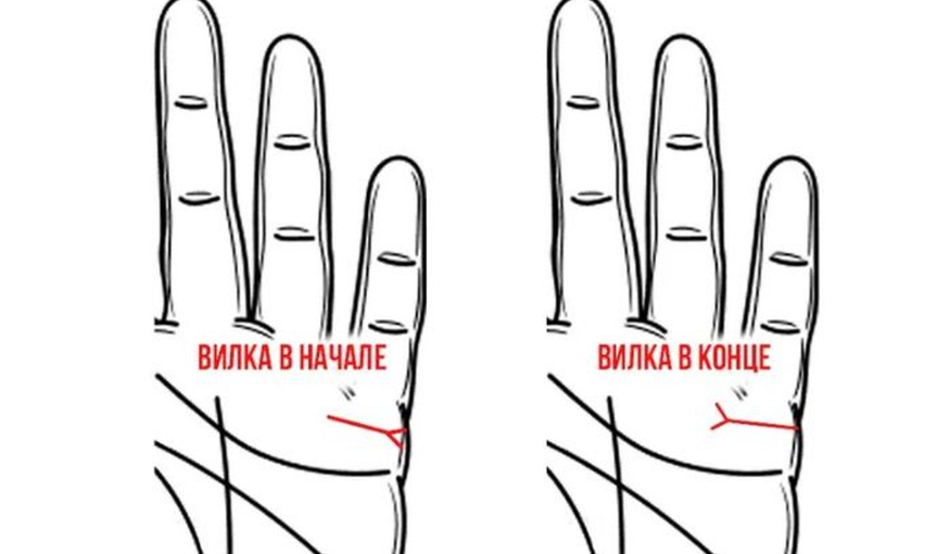 Источник в этом блоке: соцсети