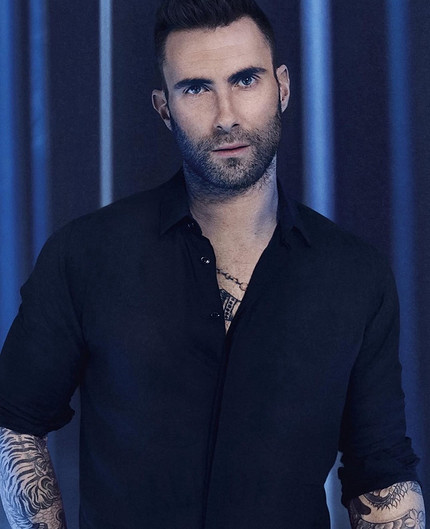 Харизма, обаяние и голос: 10 самых ярких артистов мирового шоу-бизнеса по мнению Lisa.ru