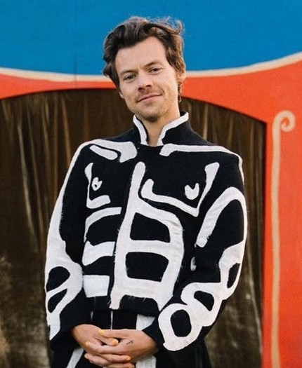 Харизма, обаяние и голос: 10 самых ярких артистов мирового шоу-бизнеса по мнению Lisa.ru