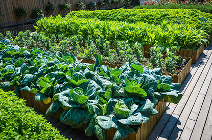 Как сделать высокие грядки своими руками: 6 лучших идей