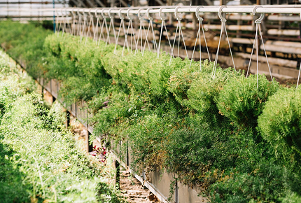 Как сделать высокие грядки своими руками: 6 лучших идей