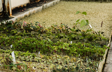 Как сделать высокие грядки своими руками: 6 лучших идей