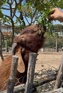 Что посмотреть на южном побережье Вьетнама: 7 идей для семейного маршрута
