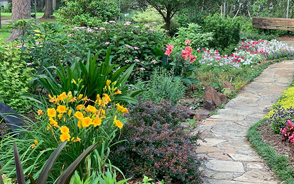 Что можно посадить в тени: самые неприхотливые дачные растения