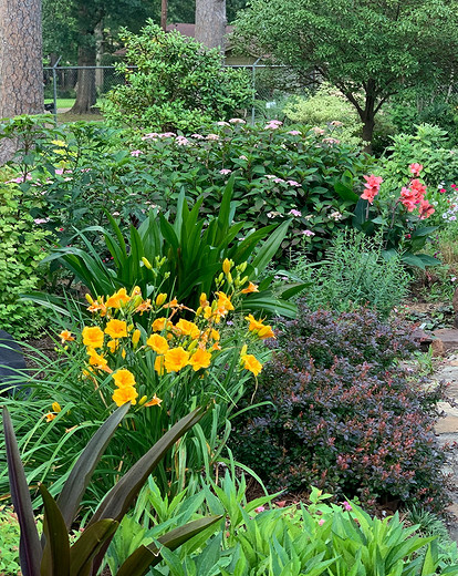 Что можно посадить в тени: самые неприхотливые дачные растения