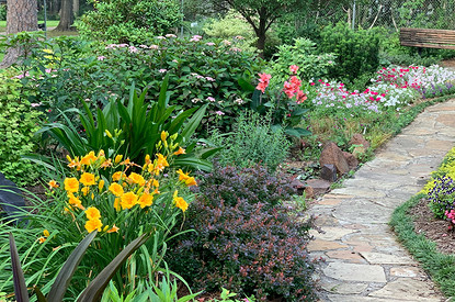 Что можно посадить в тени: самые неприхотливые дачные растения