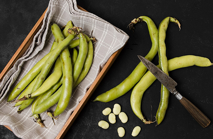 Что можно посадить в тени: самые неприхотливые дачные растения