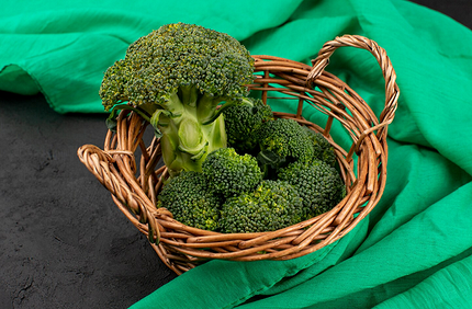 Что можно посадить в тени: самые неприхотливые дачные растения