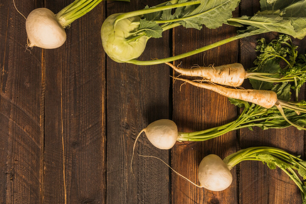 Что можно посадить в тени: самые неприхотливые дачные растения