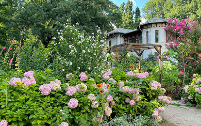 25 цветущих растений, которые точно преобразят сад