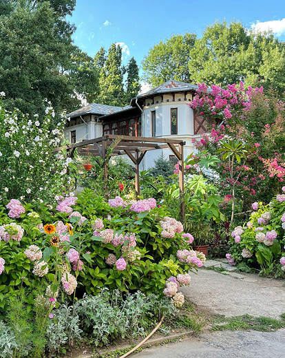 25 цветущих растений, которые точно преобразят сад