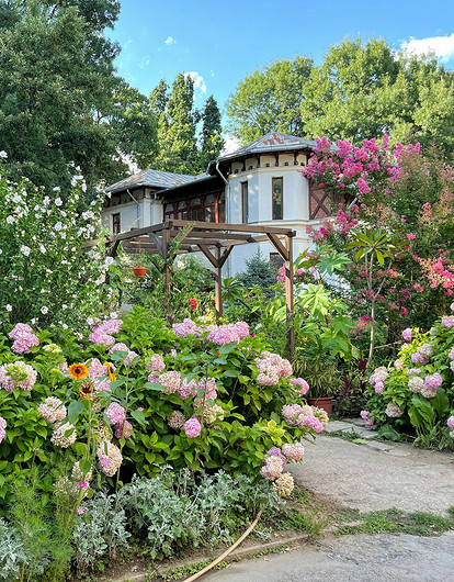 25 цветущих растений, которые точно преобразят сад