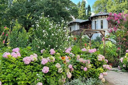 25 цветущих растений, которые точно преобразят сад