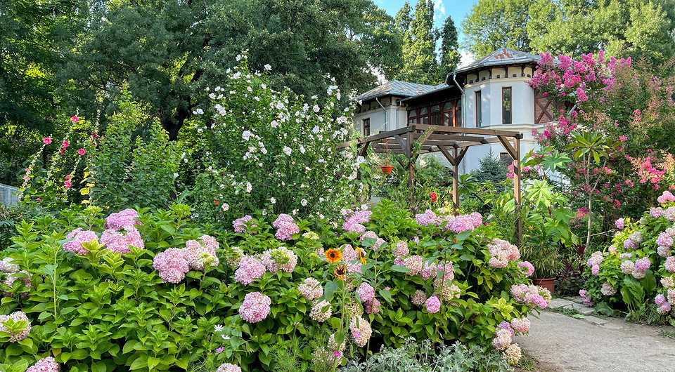 25 цветущих растений, которые точно преобразят сад