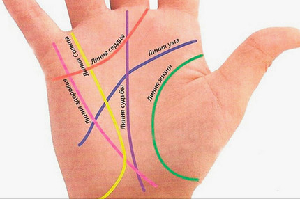 Линия жизни на руке: где именно она находится и что предсказывает