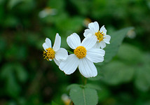 @67online