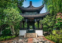 @evening-tao