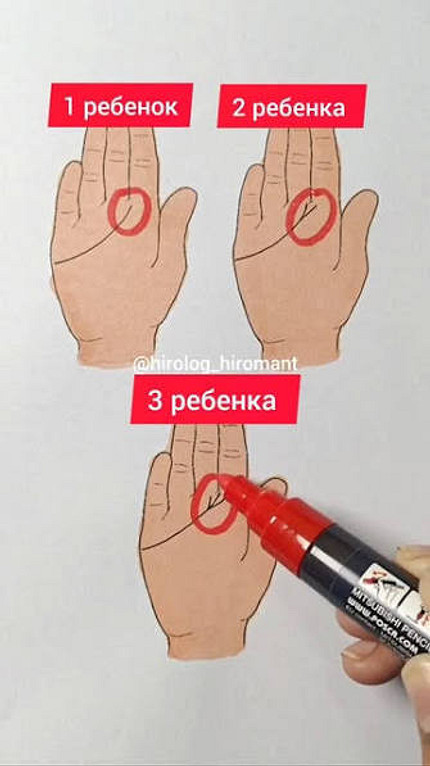 Линия детей на руке женщины: где находится и как ее читать