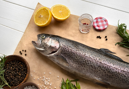 Как вкусно засолить форель в домашних условиях: 14 рецептов