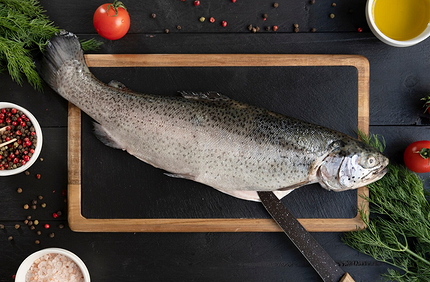 Как вкусно засолить форель в домашних условиях: 14 рецептов