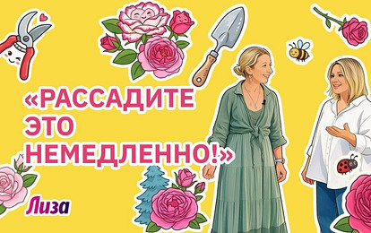 Эти ошибки делают почти все дачники: ландшафтный дизайнер разобрал сад главного редактора Лизы