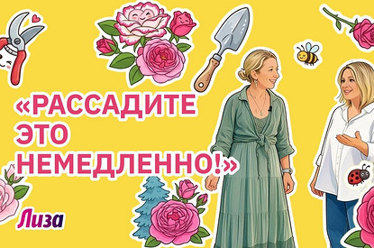Эти ошибки делают почти все дачники: ландшафтный дизайнер разобрал сад главного редактора Лизы