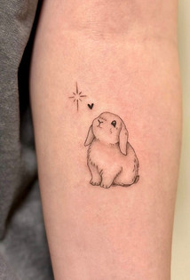 @ci.ci.ink